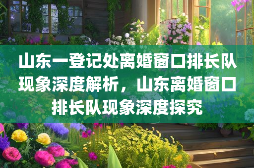 山东一登记处离婚窗口排长队现象深度解析，山东离婚窗口排长队现象深度探究今晚必出三肖2025_2025新澳门精准免费提供·精确判断