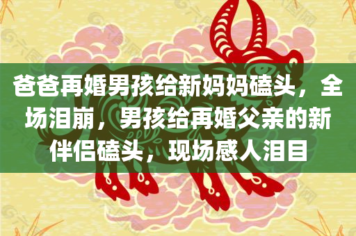 爸爸再婚男孩给新妈妈磕头，全场泪崩，男孩给再婚父亲的新伴侣磕头，现场感人泪目今晚必出三肖2025_2025新澳门精准免费提供·精确判断