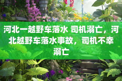 河北一越野车落水 司机溺亡，河北越野车落水事故，司机不幸溺亡