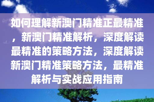 如何理解新澳门精准正最精准，新澳门精准解析，深度解读最精准的策略方法，深度解读新澳门精准策略方法，最精准解析与实战应用指南