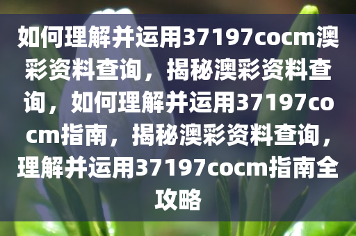 如何理解并运用37197cocm澳彩资料查询，揭秘澳彩资料查询今晚必出三肖2025_2025新澳门精准免费提供·精确判断，如何理解并运用37197cocm指南，揭秘澳彩资料查询，理解并运用37197cocm指南全攻略