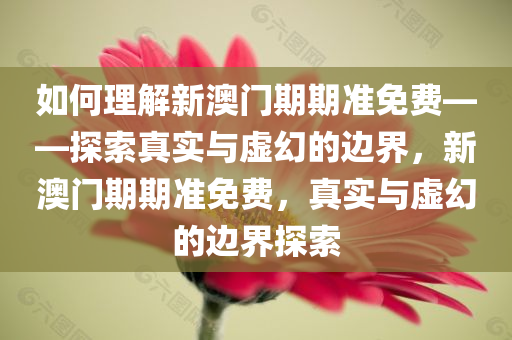 如何理解新澳门期期准免费——探索真实与虚幻的边界，新澳门期期准免费，真实与虚幻的边界探索