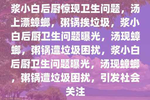 浆小白后厨惊现卫生问题，汤上漂蟑螂，粥锅挨垃圾，浆小白后厨卫生问题曝光，汤现蟑螂，粥锅遭垃圾困扰，浆小白后厨卫生问题曝光，汤现蟑螂，粥锅遭垃圾困扰，引发社会关注