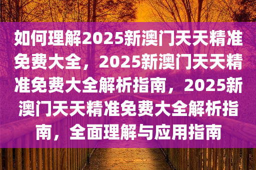 如何理解2025新澳门天天精准免费大全，2025新澳门天天精准免费大全解析指南，2025新澳门天天精准免费大全解析指南，全面理解与应用指南