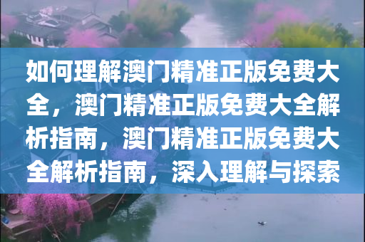 如何理解澳门精准正版免费大全，澳门精准正版免费大全解析指南，澳门精准正版免费大全解析指南，深入理解与探索今晚必出三肖2025_2025新澳门精准免费提供·精确判断