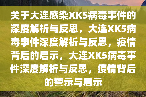 关于大连感染XK5病毒事件的深度解析与反思，大连XK5病毒事件深度解析与反思，疫情背后的启示，大连XK5病毒事件深度解析与反思，疫情背后的警示与启示今晚必出三肖2025_2025新澳门精准免费提供·精确判断