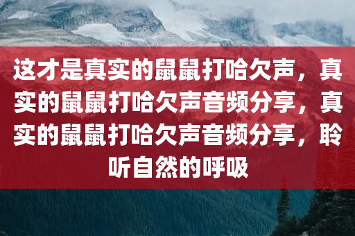这才是真实的鼠鼠打哈欠声，真实的鼠鼠打哈欠声今晚必出三肖2025_2025新澳门精准免费提供·精确判断音频分享，真实的鼠鼠打哈欠声音频分享，聆听自然的呼吸