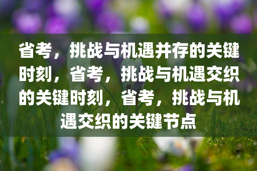 省考，挑战与机遇并存的关键时刻，省考，挑战与机遇交织的关键时刻，省考，挑战与机遇交织的关键节点