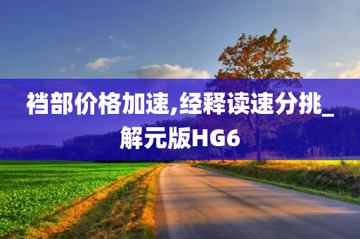裆部价格加速,经释读速分挑_解元版HG6