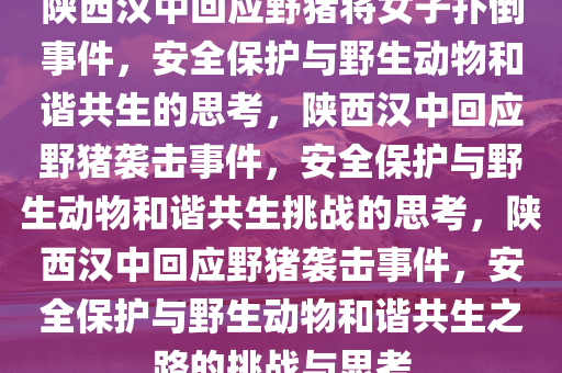 陕西汉中回应野猪将女子扑倒事件，安全保护与野生动物和谐共生的思考，陕西汉中回应野猪袭击事件，安全保护与野生动物和谐共生挑战的思考，陕西汉中回应野猪袭击事件，安全保护与野生动物和谐共生之路的挑战与思考今晚必出三肖2025_2025新澳门精准免费提供·精确判断