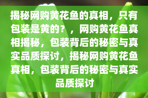 2025年3月16日 第5页