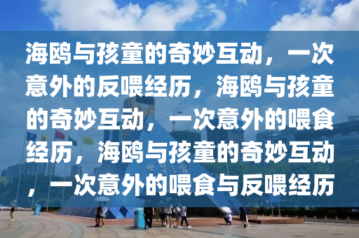 海鸥与孩童的奇妙互动，一次意外的反喂经历，海鸥与孩童的奇妙互动，一次意外的喂食经历，海鸥与孩童的奇妙互动，一次意外的喂食与反喂经历