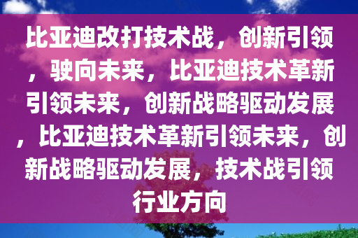 比亚迪改打技术战，创新引领，驶向未来，比亚迪技术革新引领未来，创新战略驱动发展，比亚迪技术革新引领未来，创新战略驱动发展，技术战引领行业方向