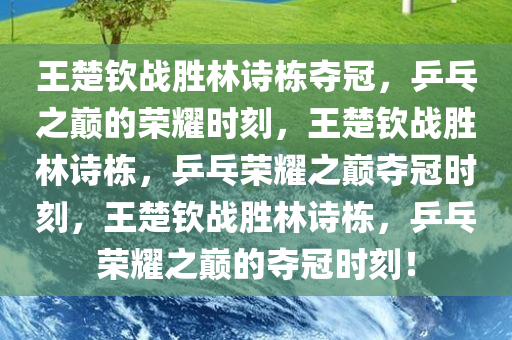王楚钦战胜林诗栋夺冠，乒乓之巅的荣耀时刻，王楚钦战胜林诗栋，乒乓荣耀之巅夺冠时刻，王楚钦战胜林诗栋，乒乓荣耀之巅的夺冠时刻！