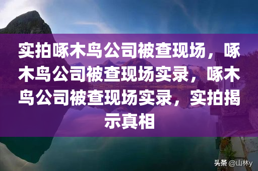实拍啄木鸟公司被查现场，啄木鸟公司被查现场实录，啄木鸟公司被查现场实录，实拍揭示真相