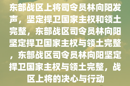 东部战区上将司令员林向阳发声，坚定捍卫国家主权和领土完整，东部战区司令员林向阳坚定捍卫国家主权与领土完整，东部战区司令员林向阳坚定捍卫国家主权与领土完整，战区上将的决心与行动