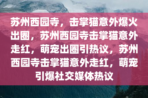 苏州西园寺击掌猫爆火出圈