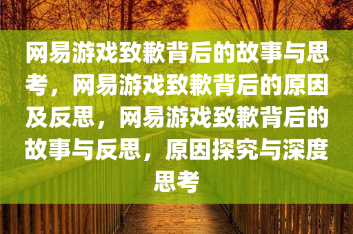 网易游戏致歉背后的故事与思考，网易游戏致歉背后的原因及反思，网易游戏致歉背后的故事与反思，原因探究与深度思考