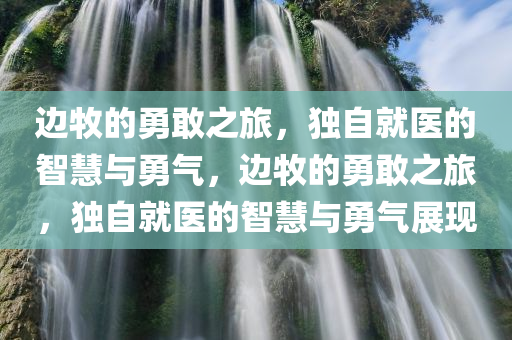边牧的勇敢之旅，独自就医的智慧与勇气，边牧的勇敢之旅，独自就医的智慧与勇气展现，边牧独自就医的勇敢之旅，智慧与勇气的展现