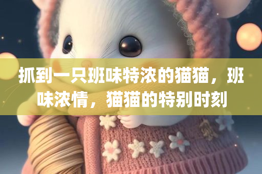 抓到一只班味特浓的猫猫，班味浓情，猫猫的特别时刻，班味浓情下的猫猫特别时刻，记录一段温馨的瞬间