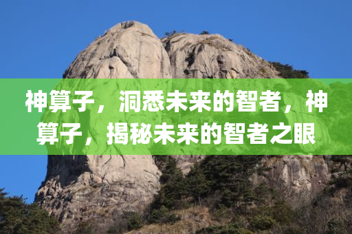 神算子，洞悉未来的智者，神算子，揭秘未来的智者之眼，神算子，揭秘未来的智者之眼，洞悉未来的智者领航者