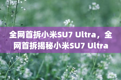 全网首拆小米SU7 Ultra，全网首拆揭秘小米SU7 Ultra，全网独家首拆揭秘小米SU7 Ultra手机细节与性能解析
