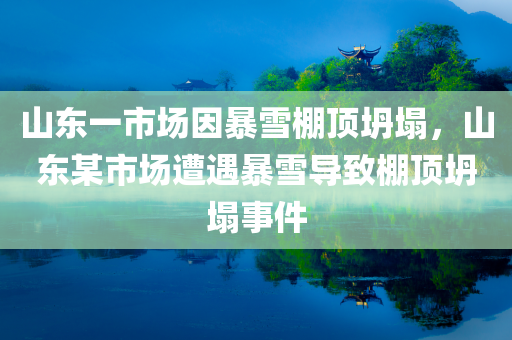 山东一市场因暴雪棚顶坍塌，山东某市场遭遇暴雪导致棚顶坍塌事件