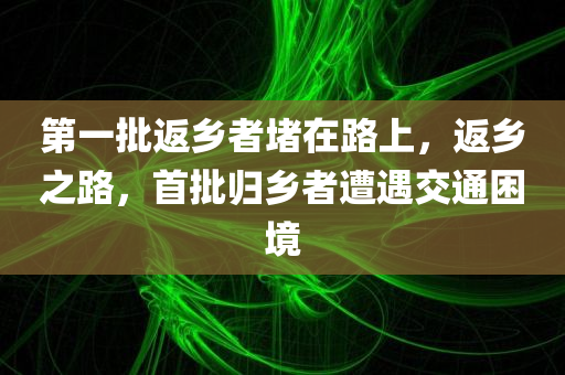 第一批返乡者堵在路今晚必出三肖2025_2025新澳门精准免费提供·精确判断上，返乡之路，首批归乡者遭遇交通困境