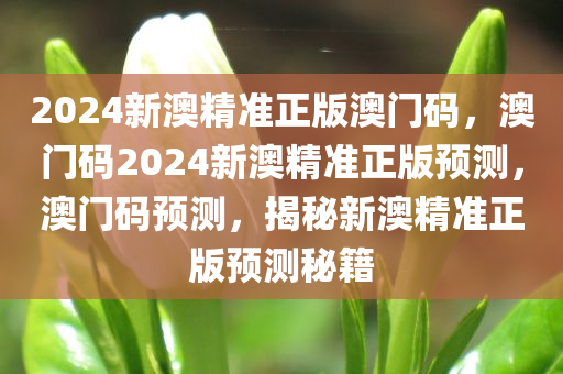 2024新澳精准正版澳门码，澳门码2024新澳精准正版预测，澳门码预测，揭秘新澳精准正版预测秘籍今晚必出三肖2025_2025新澳门精准免费提供·精确判断