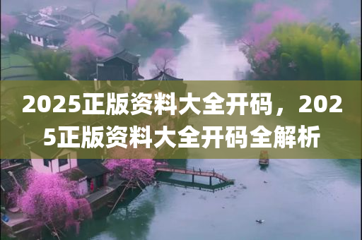 2025正版资料大全开码，2025正版资料大全开码全解析