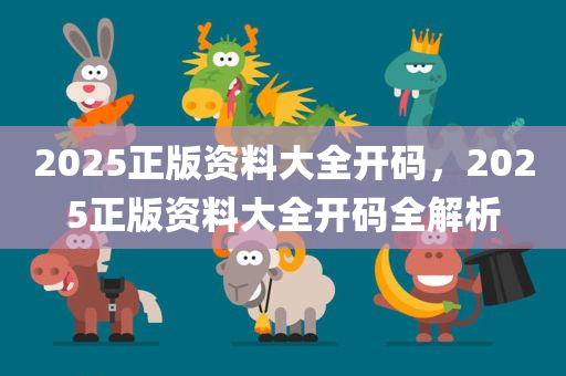 2025正版资料大全开码，2025正版资料大全开码全解析