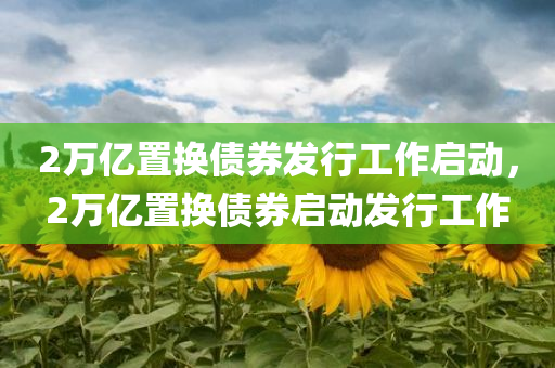 2万亿置换债券发行工作启动，2万亿置换债券启动发行工作，2万亿置换债券启动发行工作全面展开