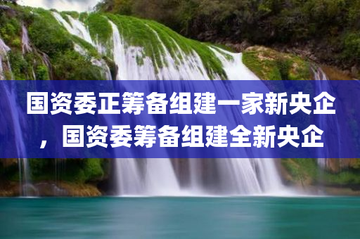 国资委正筹备组建一家新央企，国资委筹备组建全新央企，国资委全新央企即将诞生，全新央企集团蓄势待发