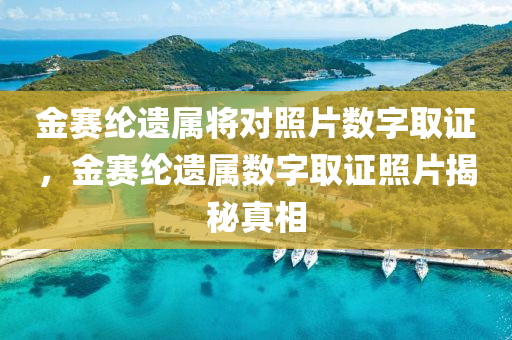 金赛纶遗属将对照片数字取证，金赛纶遗属数字取证照片揭秘真相，金赛纶遗属数字取证照片，探寻真相之路