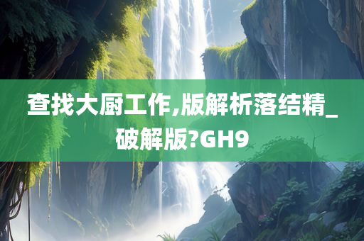 查找大厨工作,版解析落结精_破解版?GH9