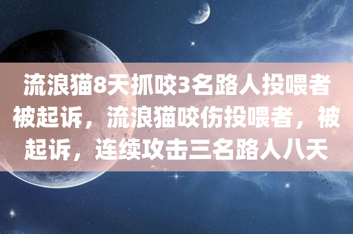 流浪猫8天抓咬3名路人投喂者被起诉，流浪猫咬伤投喂者，被起诉，连续攻击三名路人八天，流浪猫连续攻击三名路人八天，投喂者被起诉，流浪猫咬伤事件引发法律关注