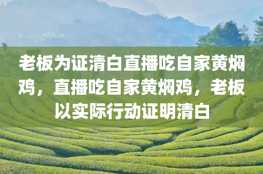 老板为证清白直播吃自家黄焖鸡，直播吃自家黄焖鸡，老板以实际行动证明清白，老板直播品尝自家黄焖鸡，用行动证明诚信清白。