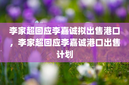 李家超回应李嘉诚拟出售港口，李家超回应李嘉诚港口出售计划，李家超回应李嘉诚港口出售计划，政府将密切留意事态发展
