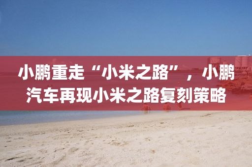 小鹏重走“小米之路”，小鹏汽车再现小米之路复刻策略，小鹏汽车再现复刻策略，重走小米之路