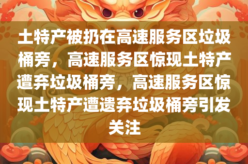土特产被扔在高速服务区垃圾桶旁，高速服务区惊现土特产遭弃垃圾桶旁，高速服务区惊现土特产遭遗弃垃圾桶旁引发关注
