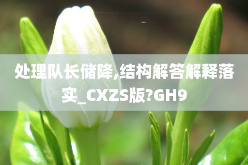 处理队长储降,结构解答解释落实_CXZS版?GH9