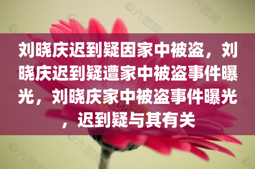 刘晓庆迟到疑因家中被盗，刘晓庆迟到疑遭家中被盗事件曝光