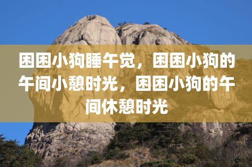 困困小狗睡午觉，困困小狗的午间小憩时光，困困小狗的午间休憩时光