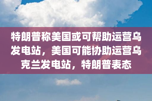 特朗普称美国或可帮助运营乌发电站，美国可能协助运营乌克兰发电站，特朗普表态