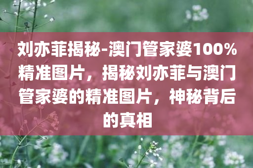 刘亦菲揭秘-澳门管家婆100%精准图片，揭秘刘亦菲与澳门管家婆的精准图片，神秘背后的真相，揭秘，刘亦菲与澳门管家婆的神秘精准图片真相