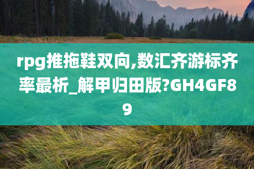 rpg推拖鞋双向,数汇齐游标齐率最析_解甲归田版?GH4GF89