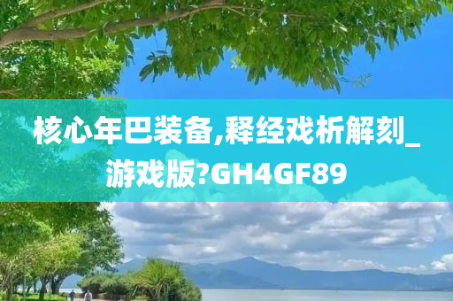 核心年巴装备,释经戏析解刻_游戏版?GH4GF89