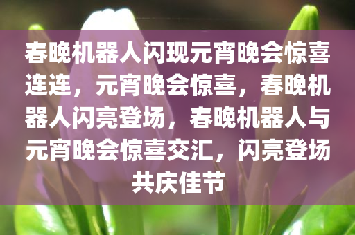 春晚机器人闪现元宵晚会惊喜连连，元宵晚会惊喜，春晚机器人闪亮登场，春晚机器人与元宵晚会惊喜交汇，闪亮登场共庆佳节