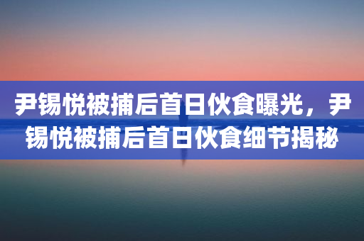 尹锡悦被捕后首日伙食曝光，尹锡悦被捕后首日伙食细节揭秘，尹锡悦被捕后首日伙食细节揭秘，揭秘他的首日饮食生活今晚必出三肖2025_2025新澳门精准免费提供·精确判断