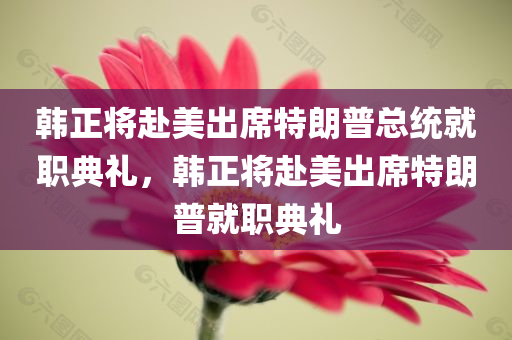 韩正将赴美出席特朗普总统就职典礼，韩正将赴美出席特朗普就职典礼